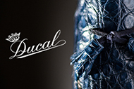 Ducal